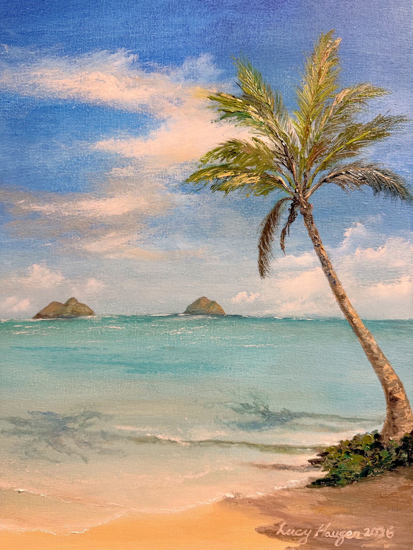Sunset Sail in Paradise